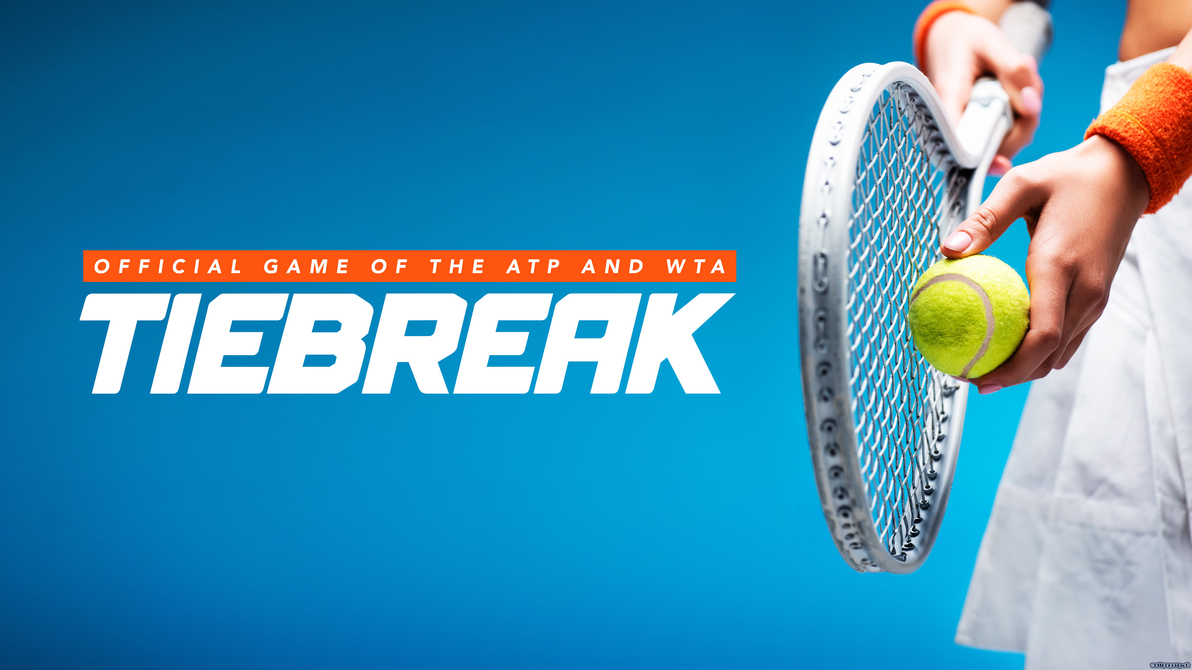 TIEBREAK: Official game of the ATP and WTA - wallpaper 2