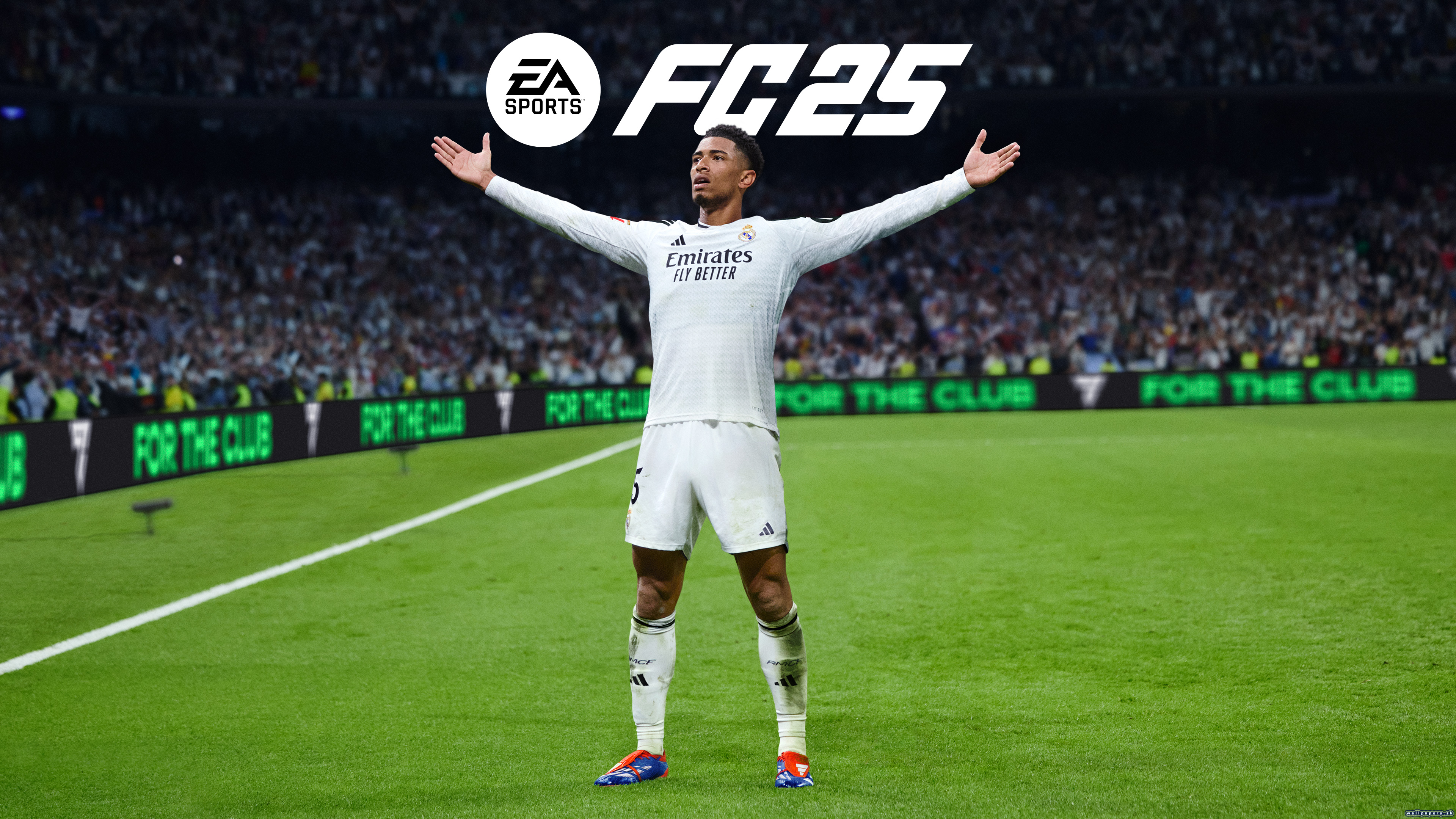 EA Sports FC 25 - wallpaper 1