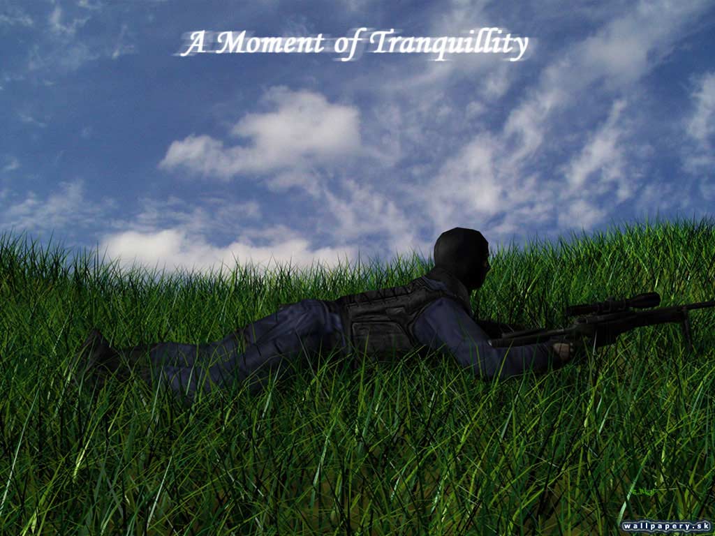 Counter-Strike - wallpaper 156